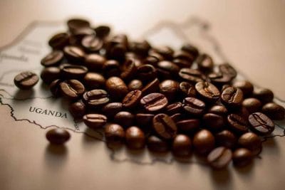 خرید قهوه روبوستا اوگاندا