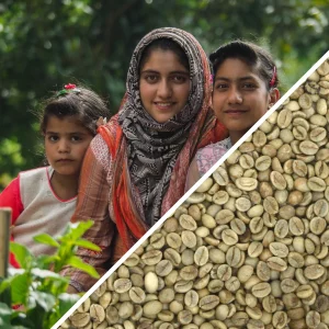 قهوه روبوستا پی بی هند PB Robusta India Coffee