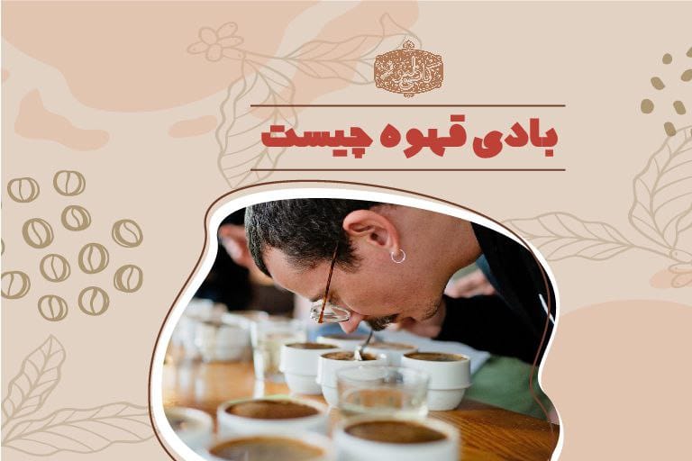 بادی قهوه