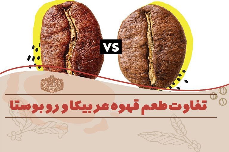 فرق قهوه عربیکا و روبوستا