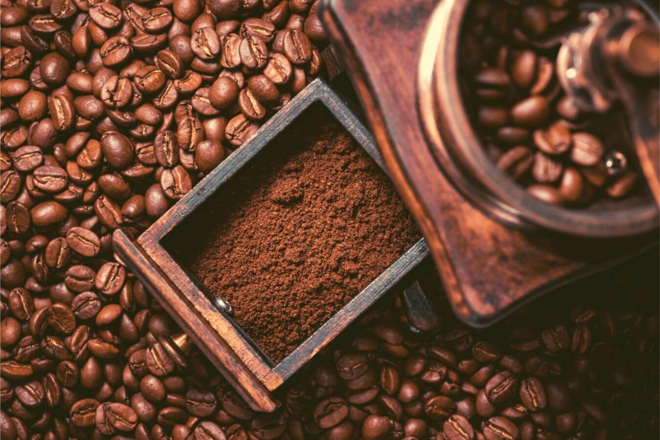 میزان کافئین عربیکا یا روبوستا