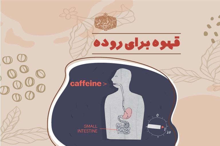 قهوه برای روده