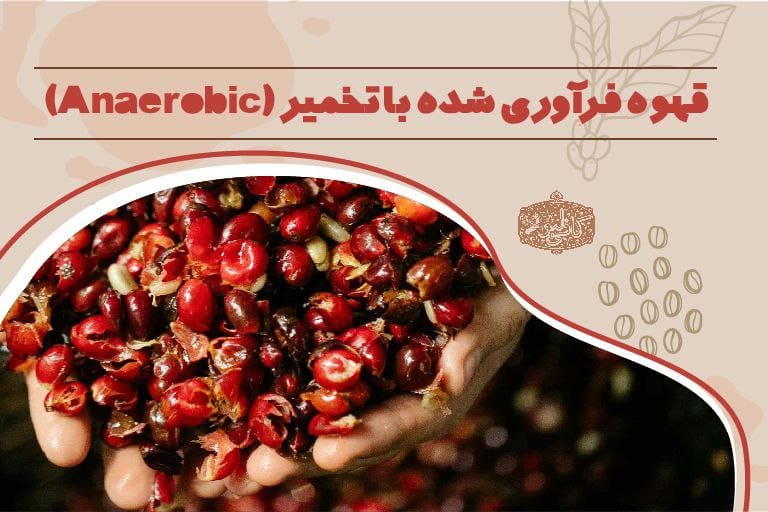 قهوه آناروبیک